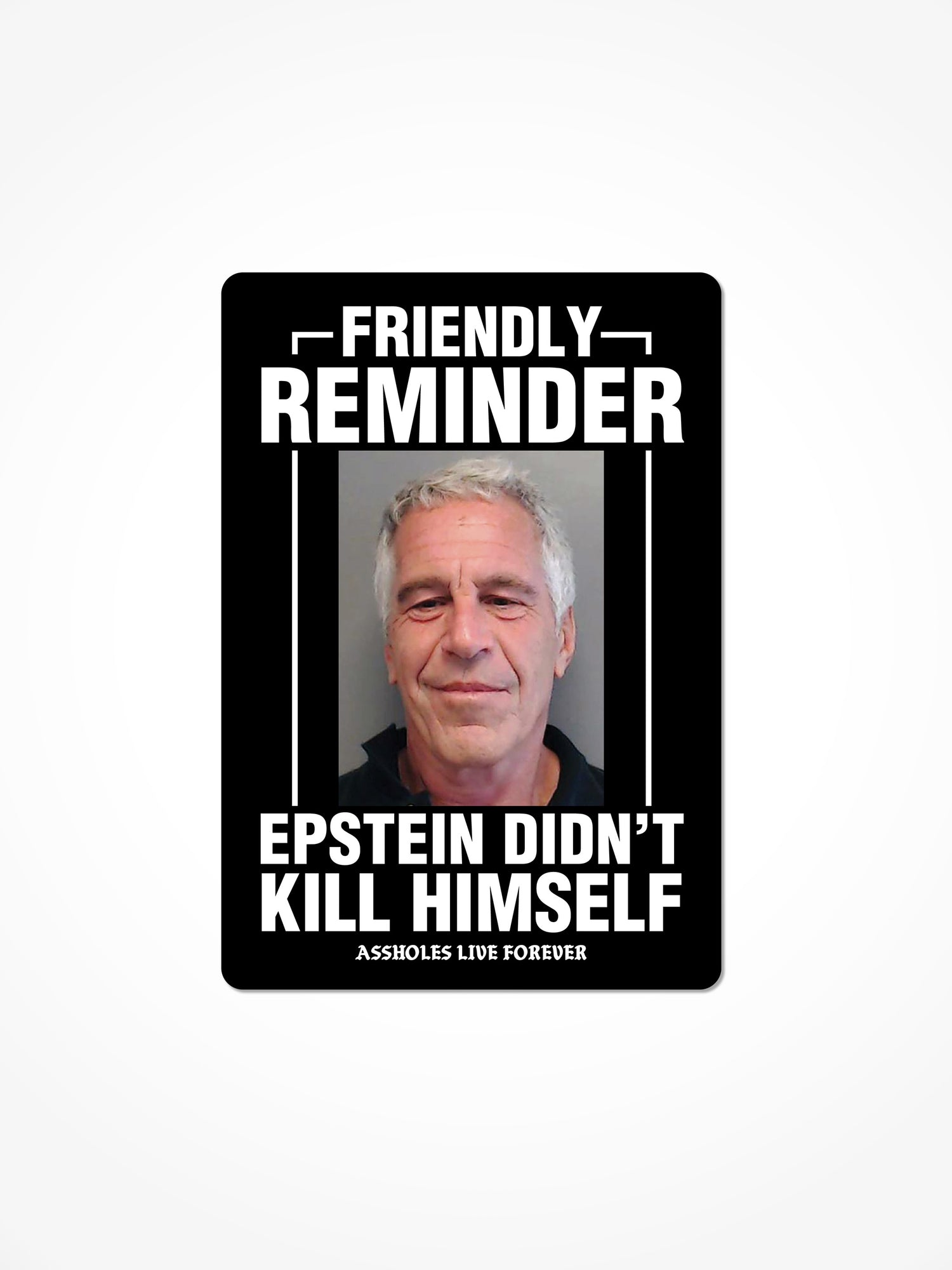 Epstein Didn't Kill Himself Sticker