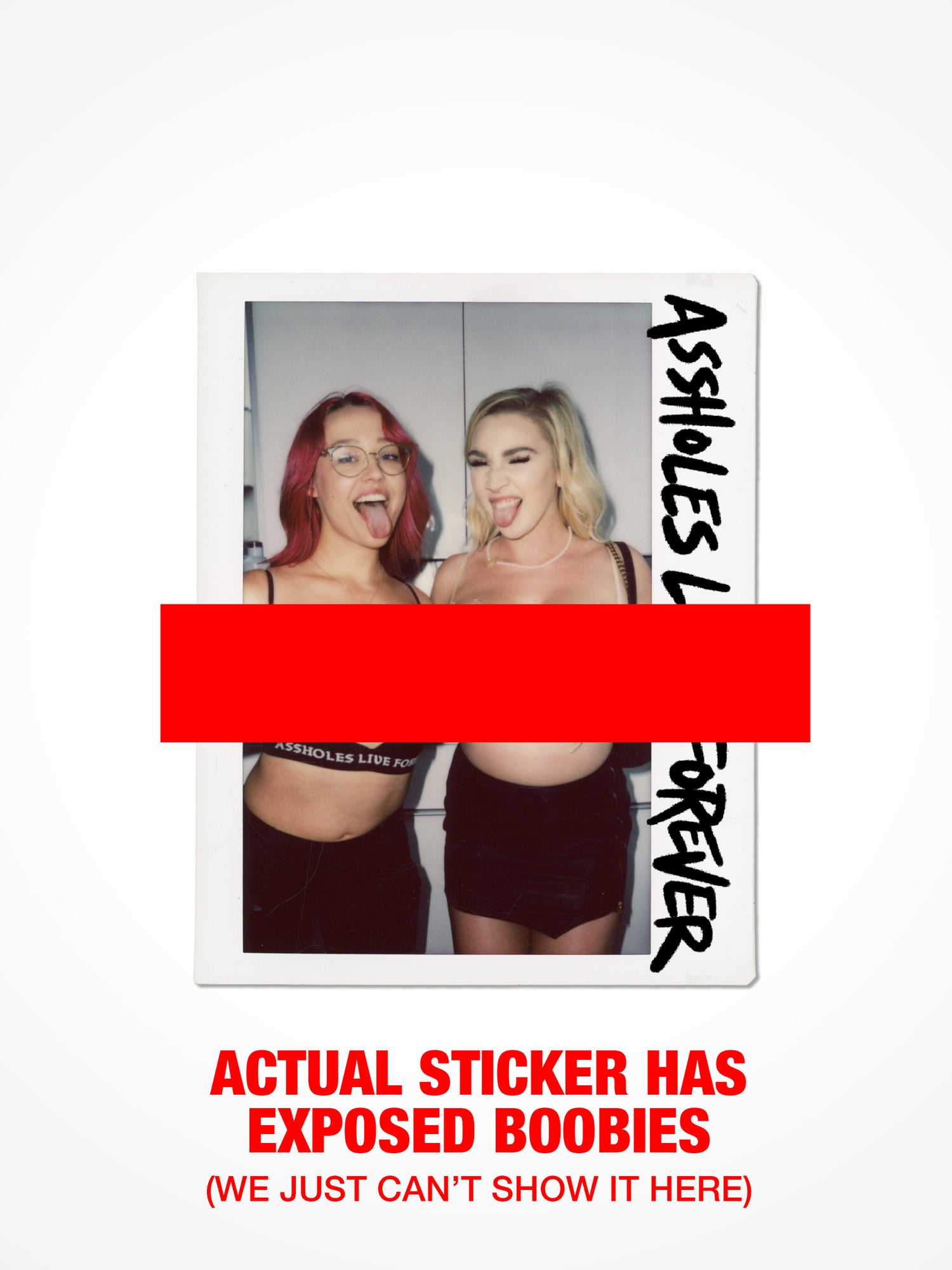 ALF Duo Polaroid Sticker