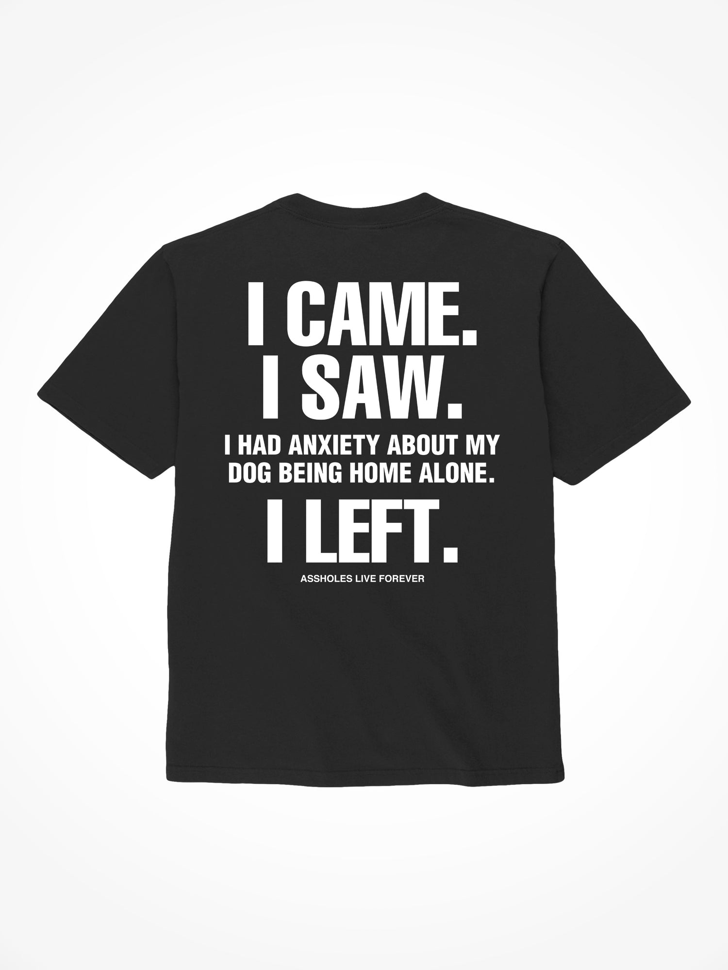I Came I Saw - Black T-Shirt