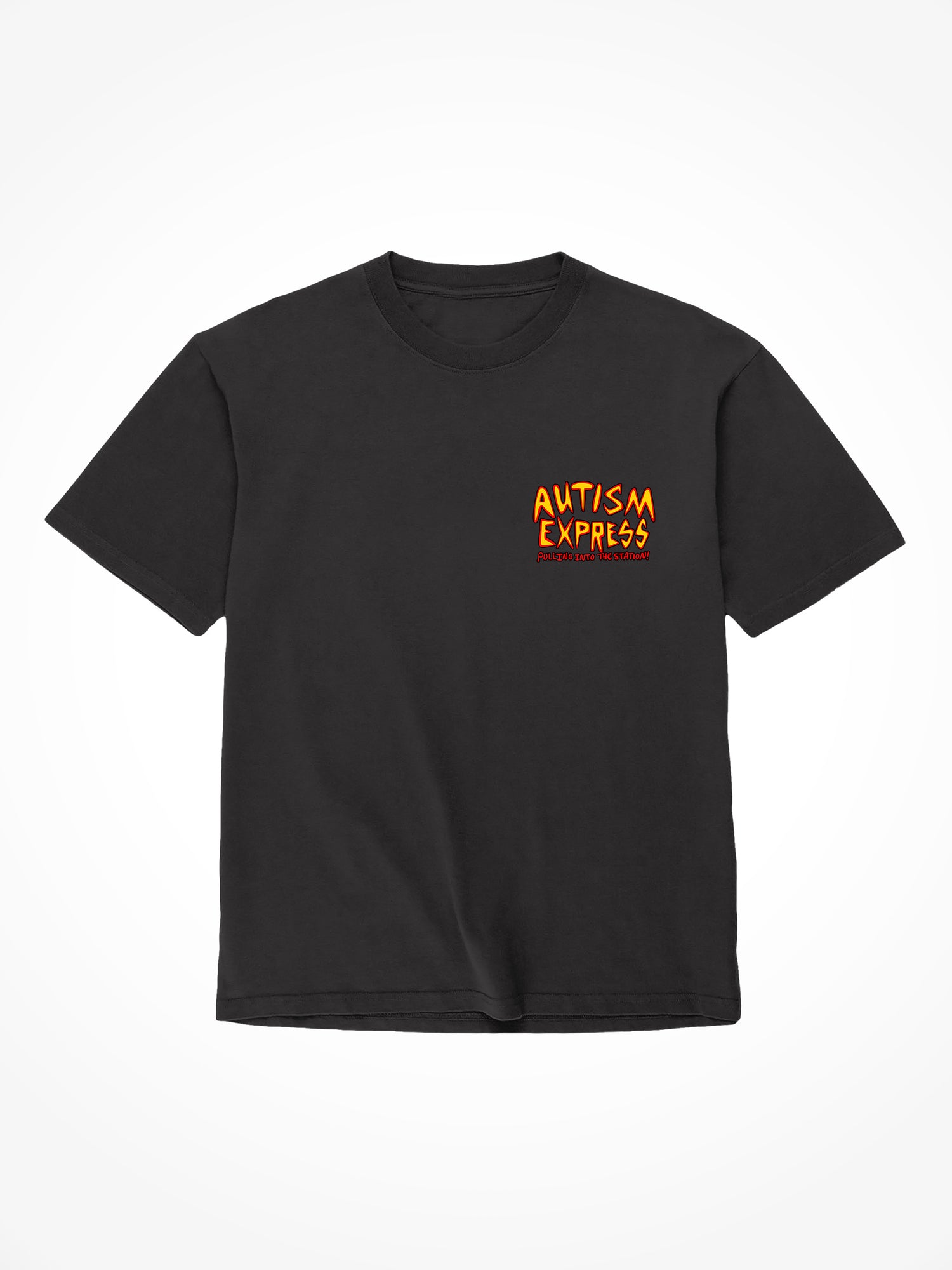 Autism Express - Black T-Shirt