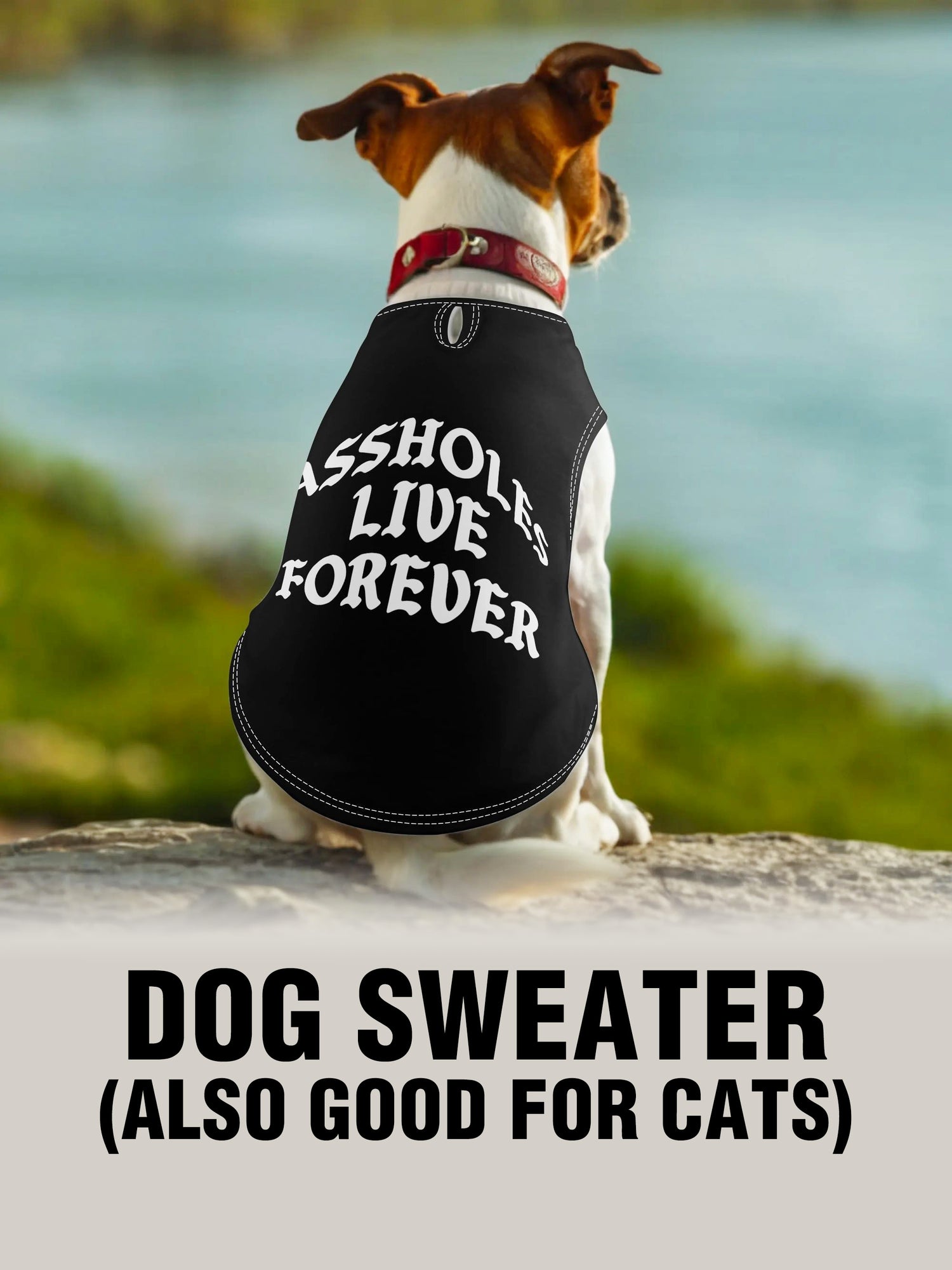 Dog Sweater - ALF OG BLACK