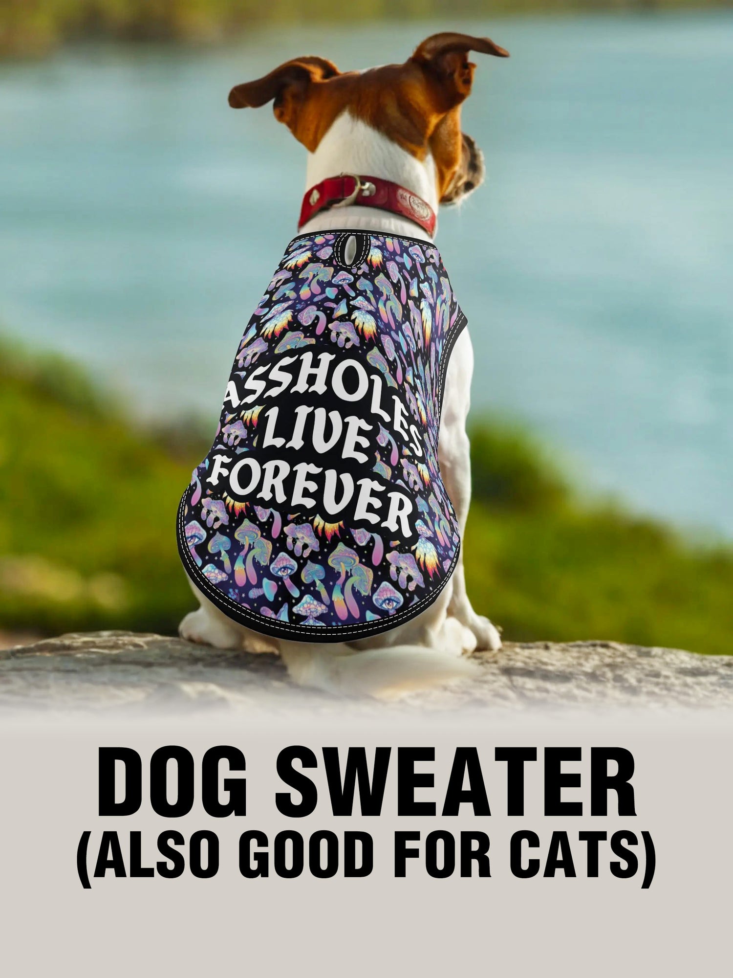 Dog Sweater - ALF OG MUSHROOM