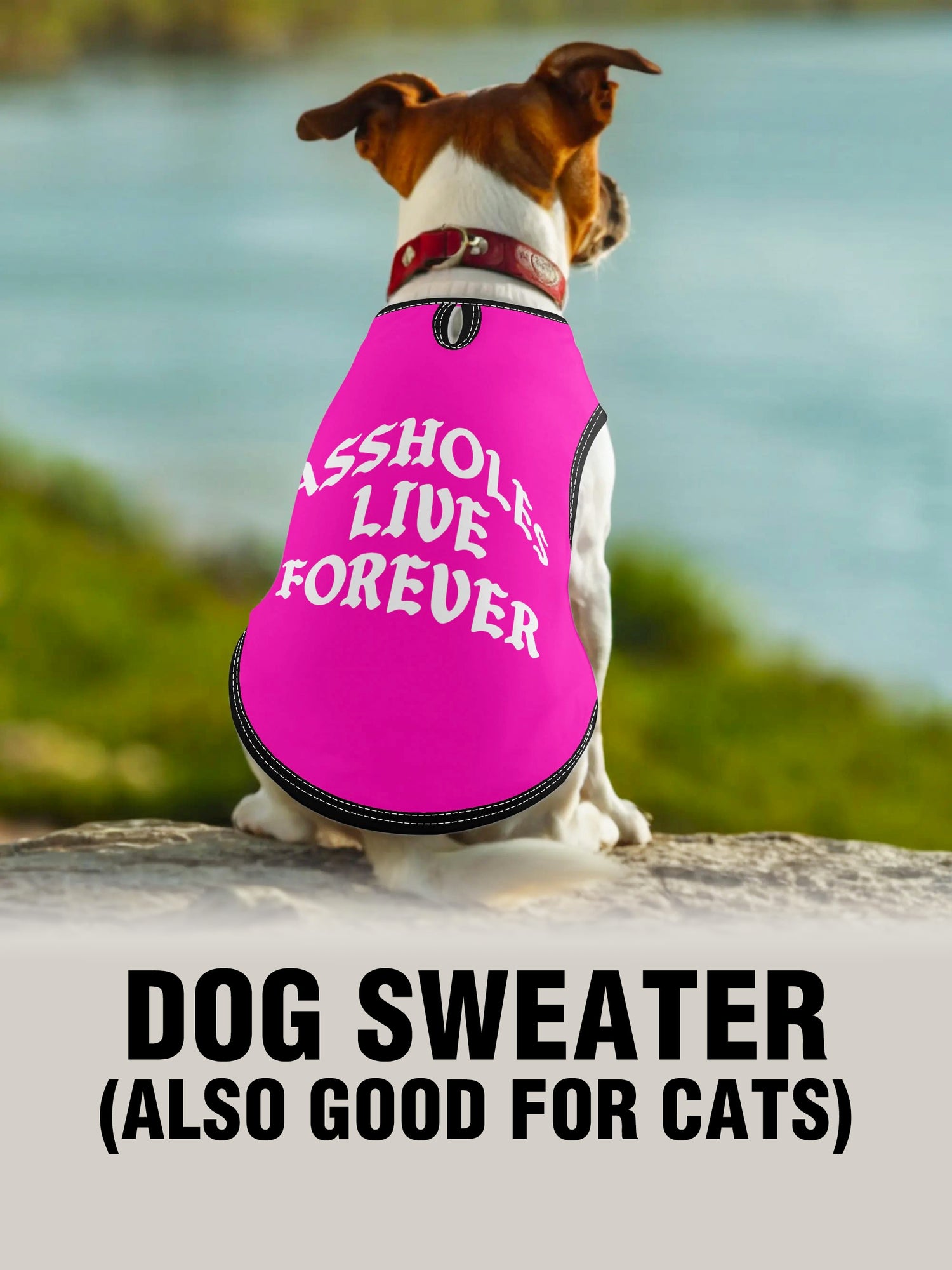 Dog Sweater - ALF OG PINK