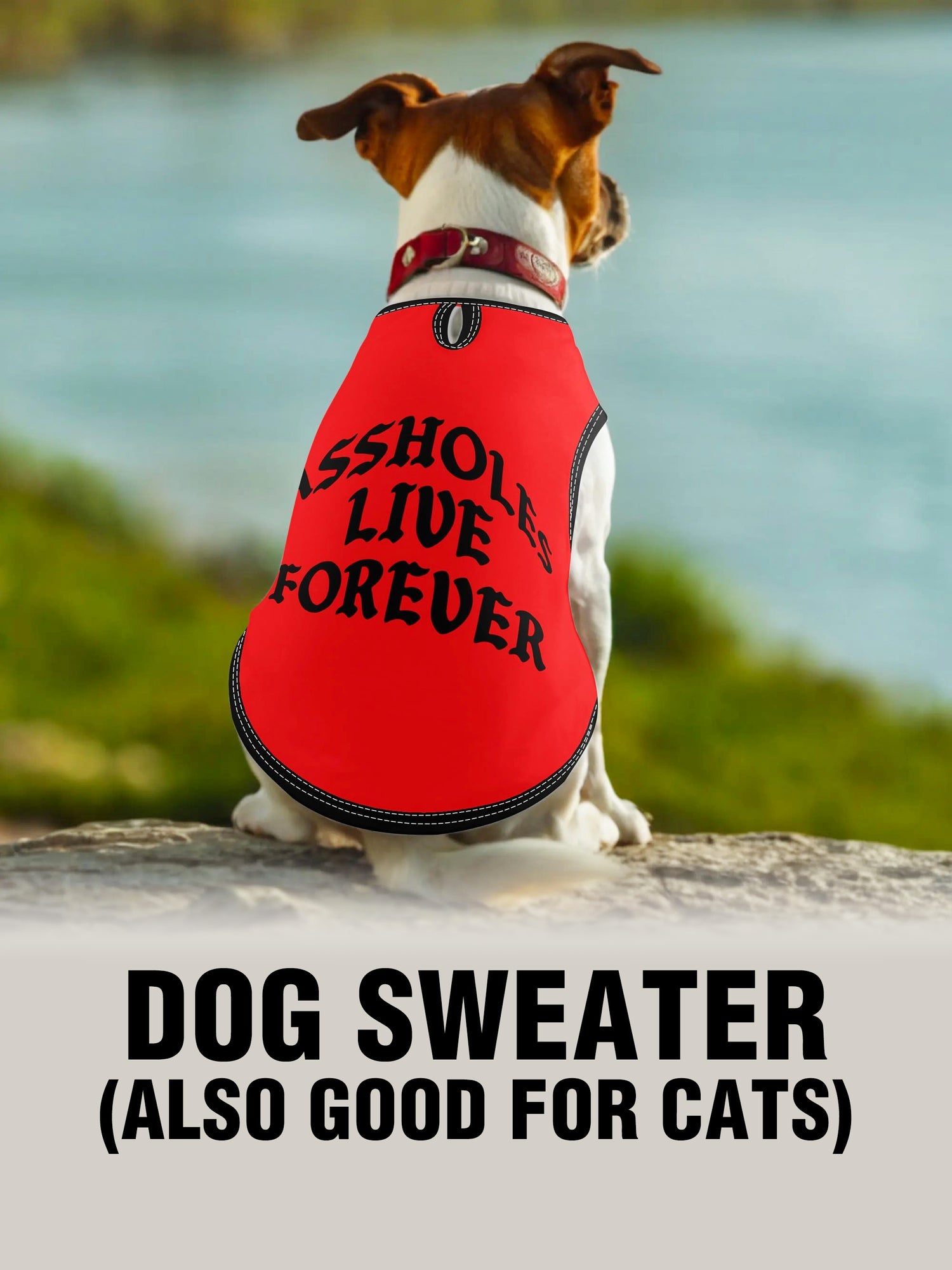 Dog Sweater - ALF OG RED