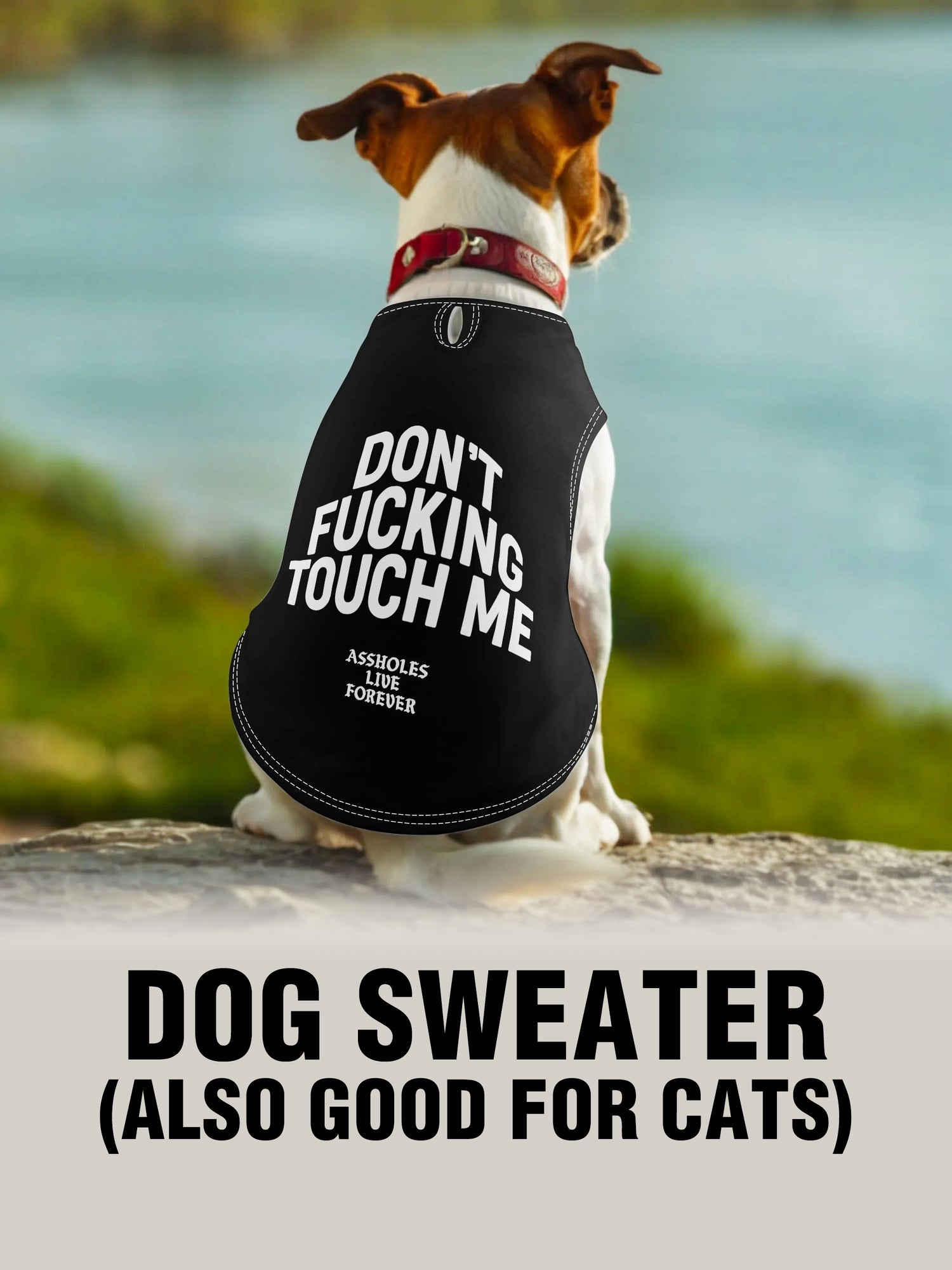 Dog Sweater - DONT TOUCH ME BLACK