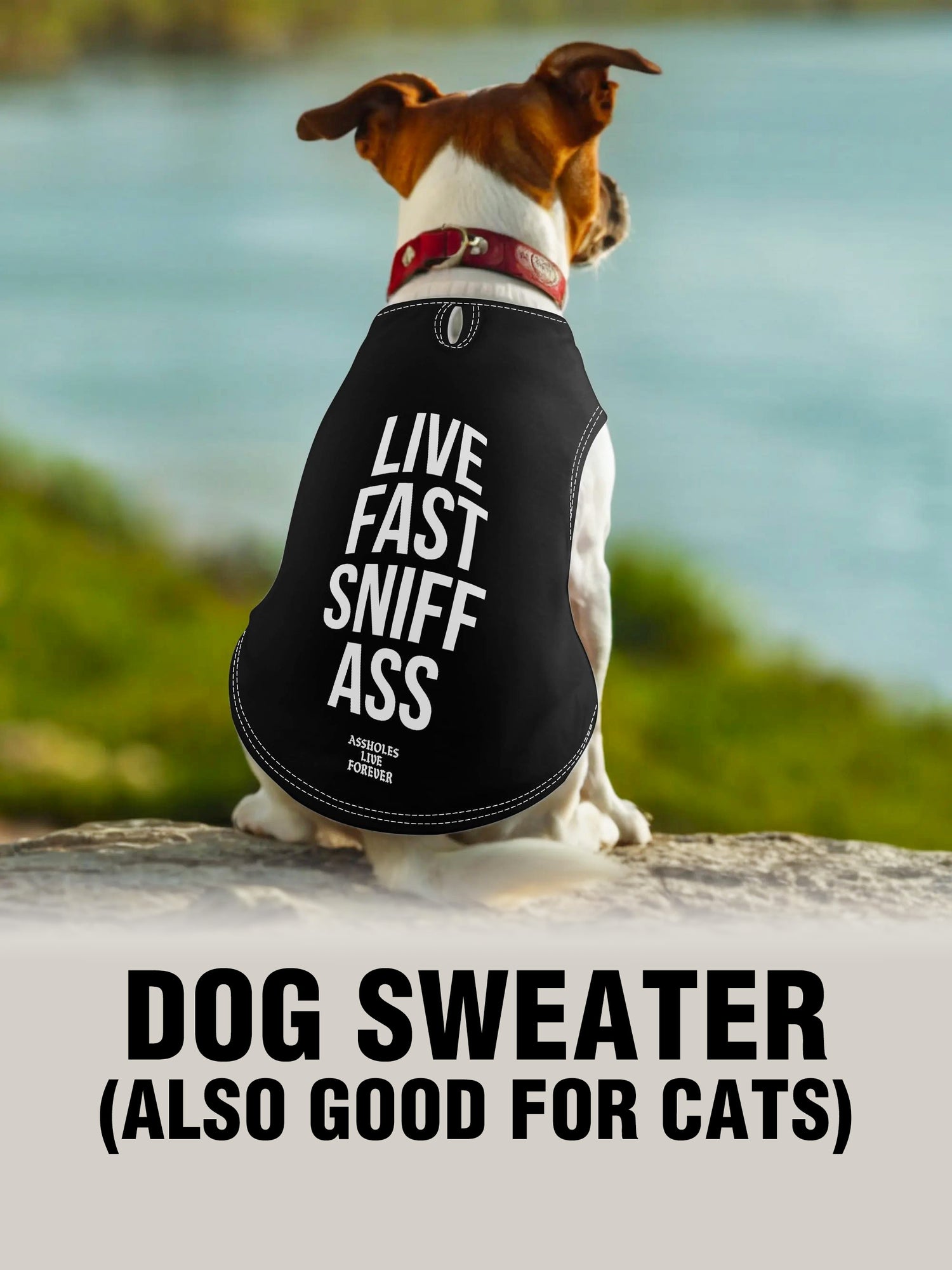 Dog Sweater - LIVE FAST SNIFF ASS