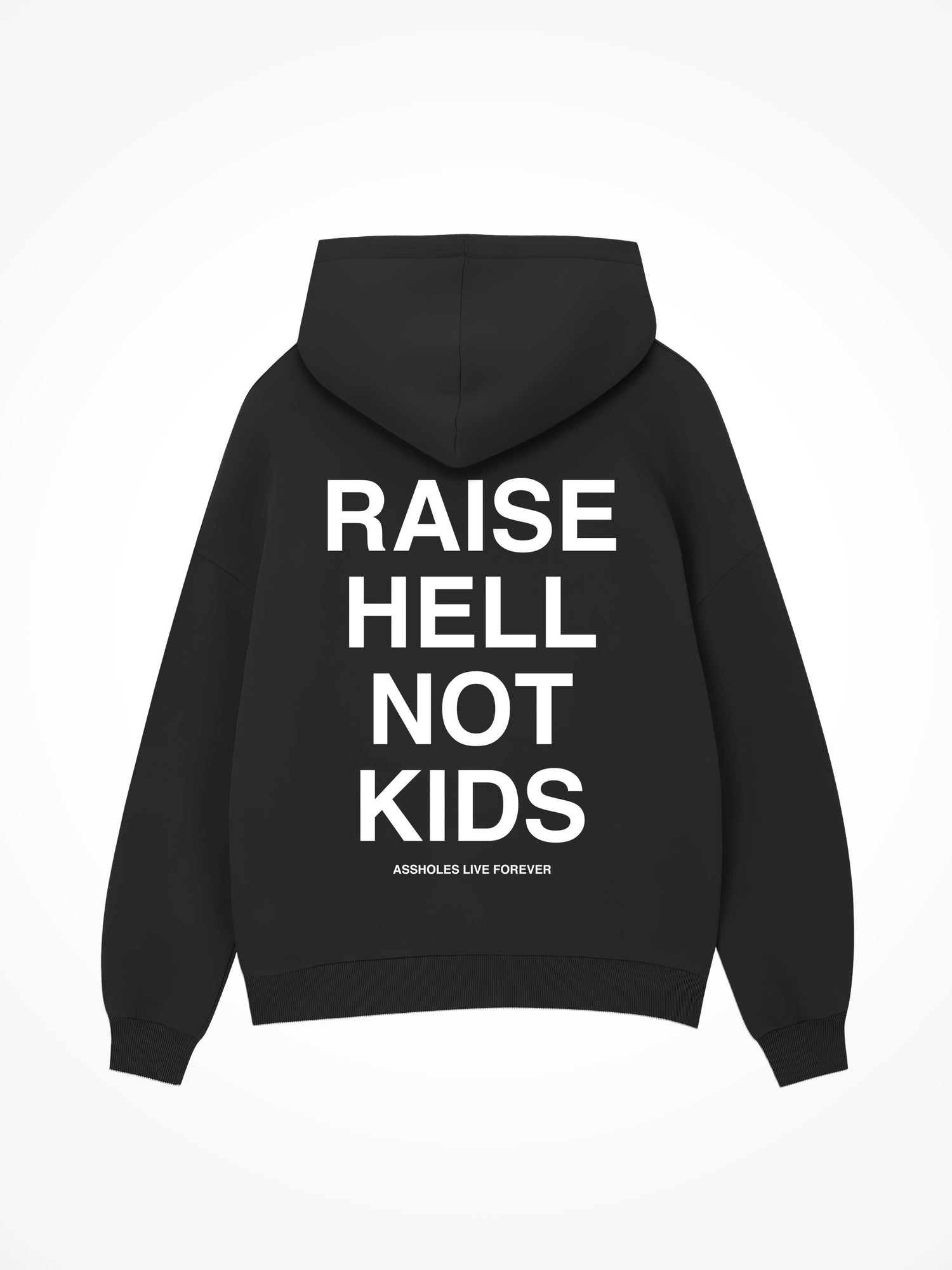 Raise Hell Not Kids - Black Hoodie