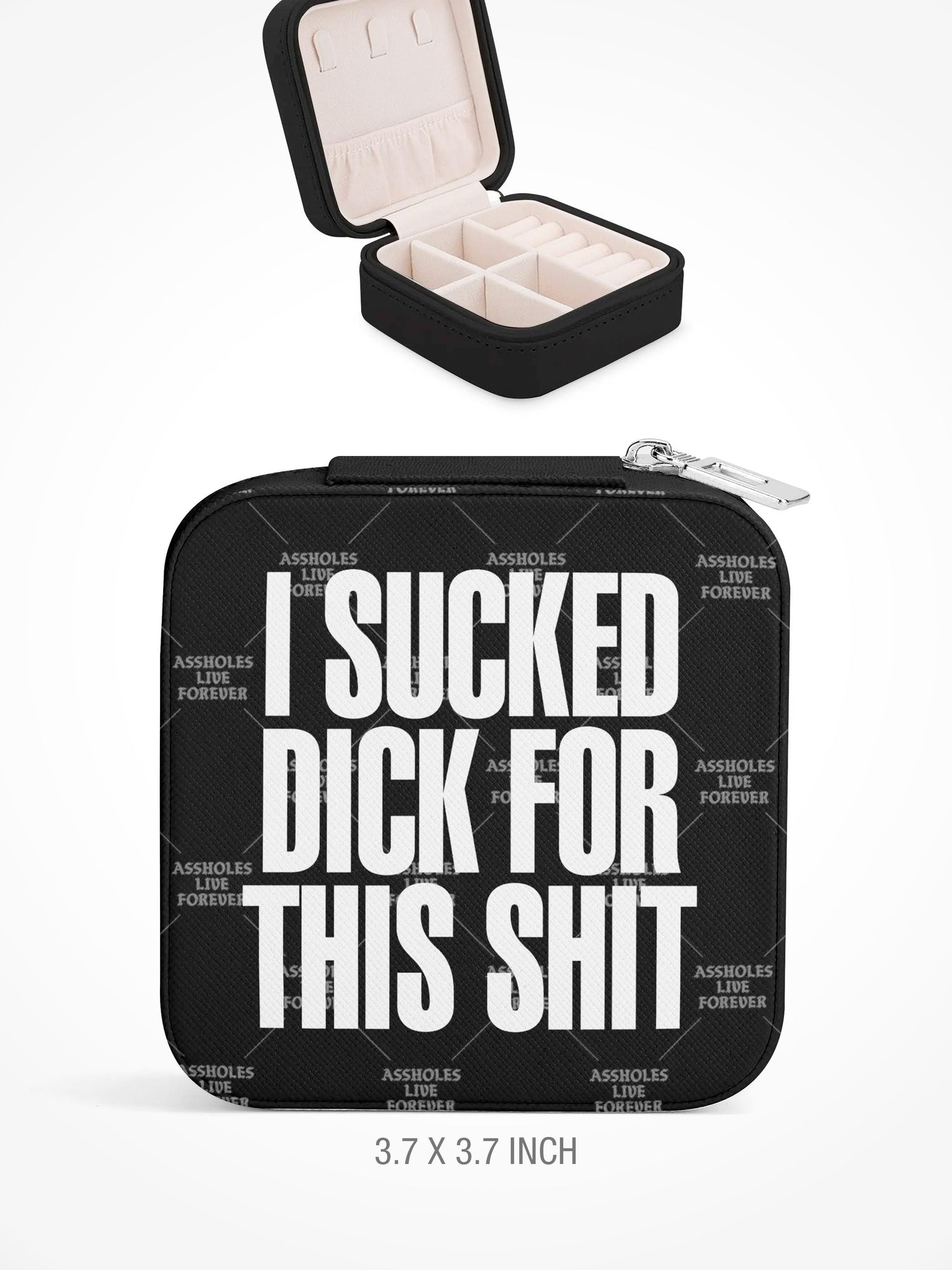 Jewelry Box with Zipper - SUCKED DICK FOR THIS