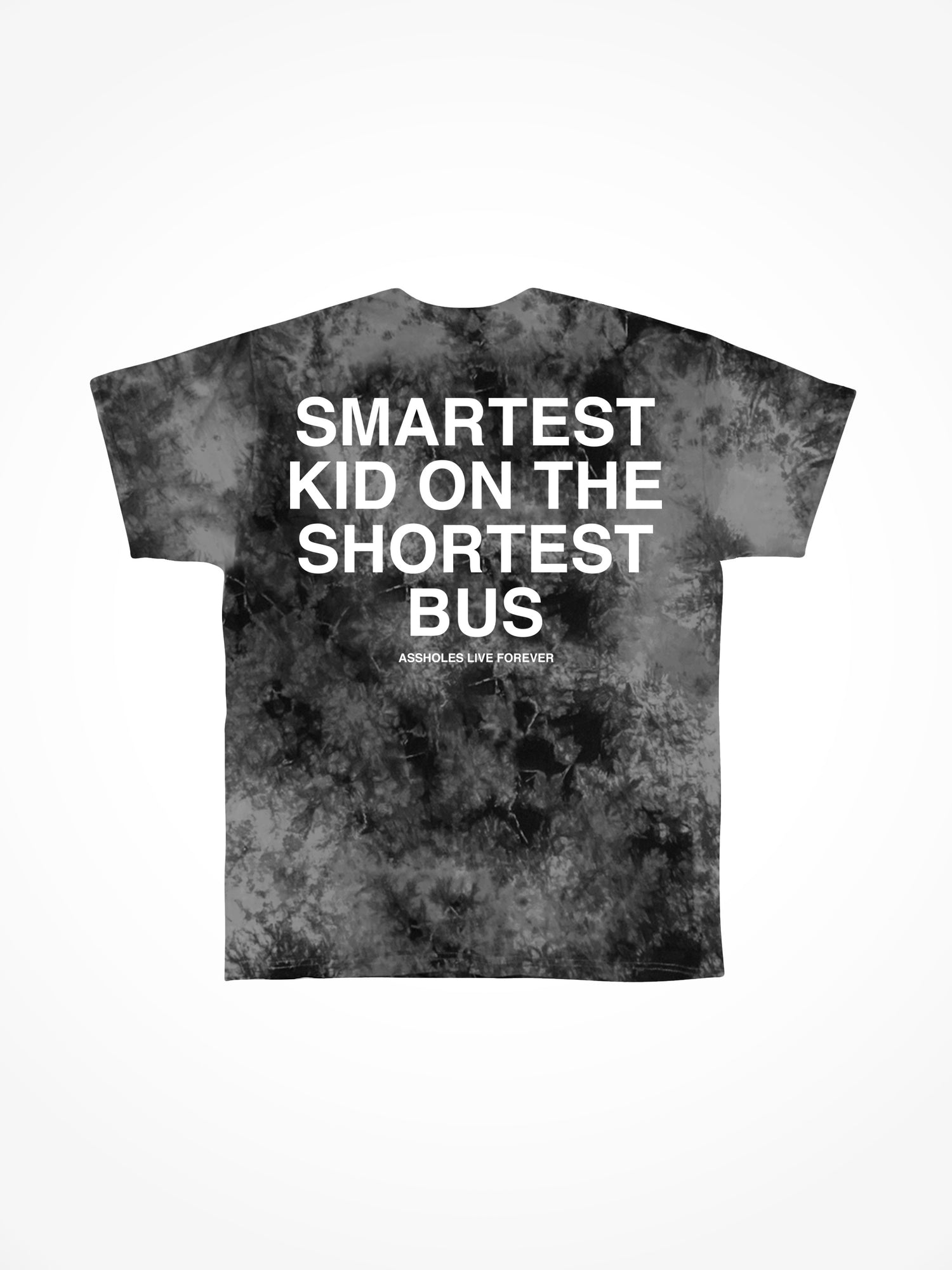 Smartest Kid on the Shortest Bus - Foggy Night Tie Dye T-Shirt