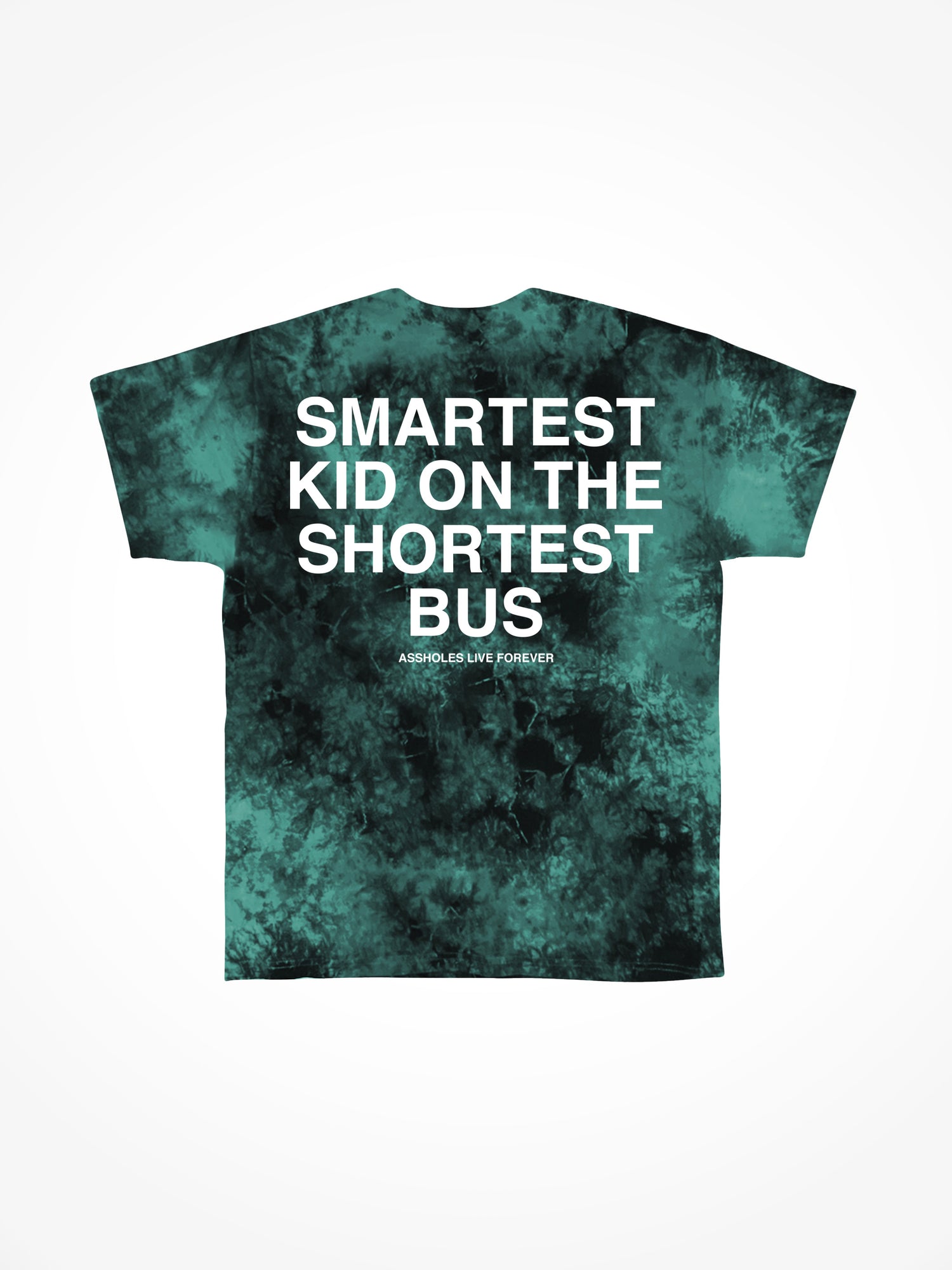 Smartest Kid on the Shortest Bus - Northern Lights Tie Dye T-Shirt