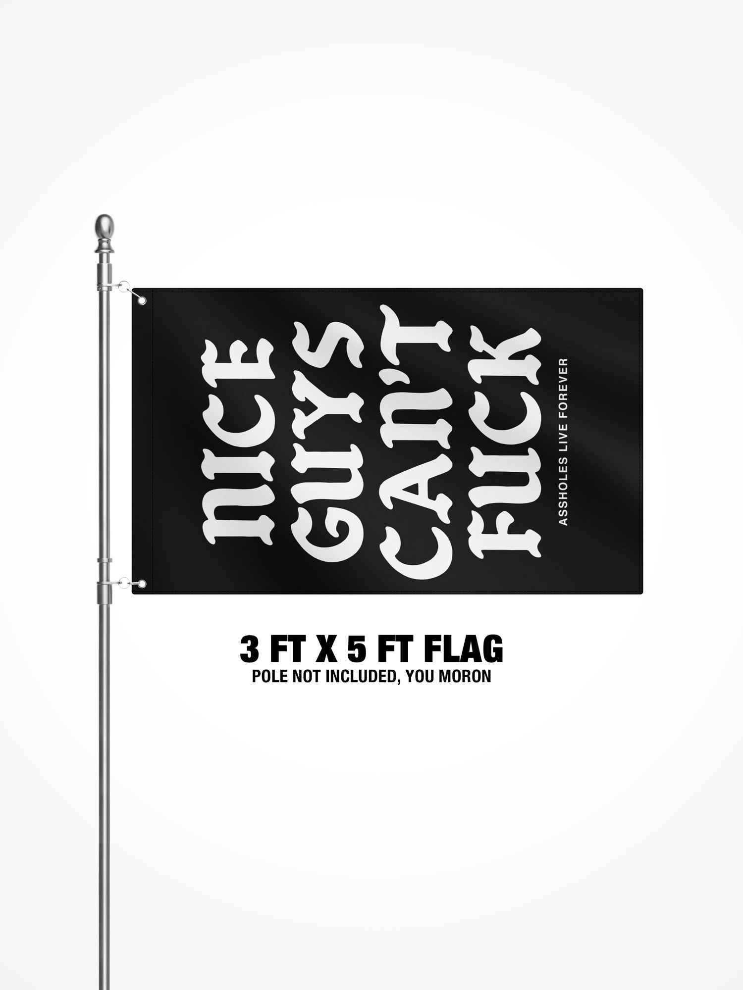 3x5 Ft Flag - Nice Guys Cant Fuck
