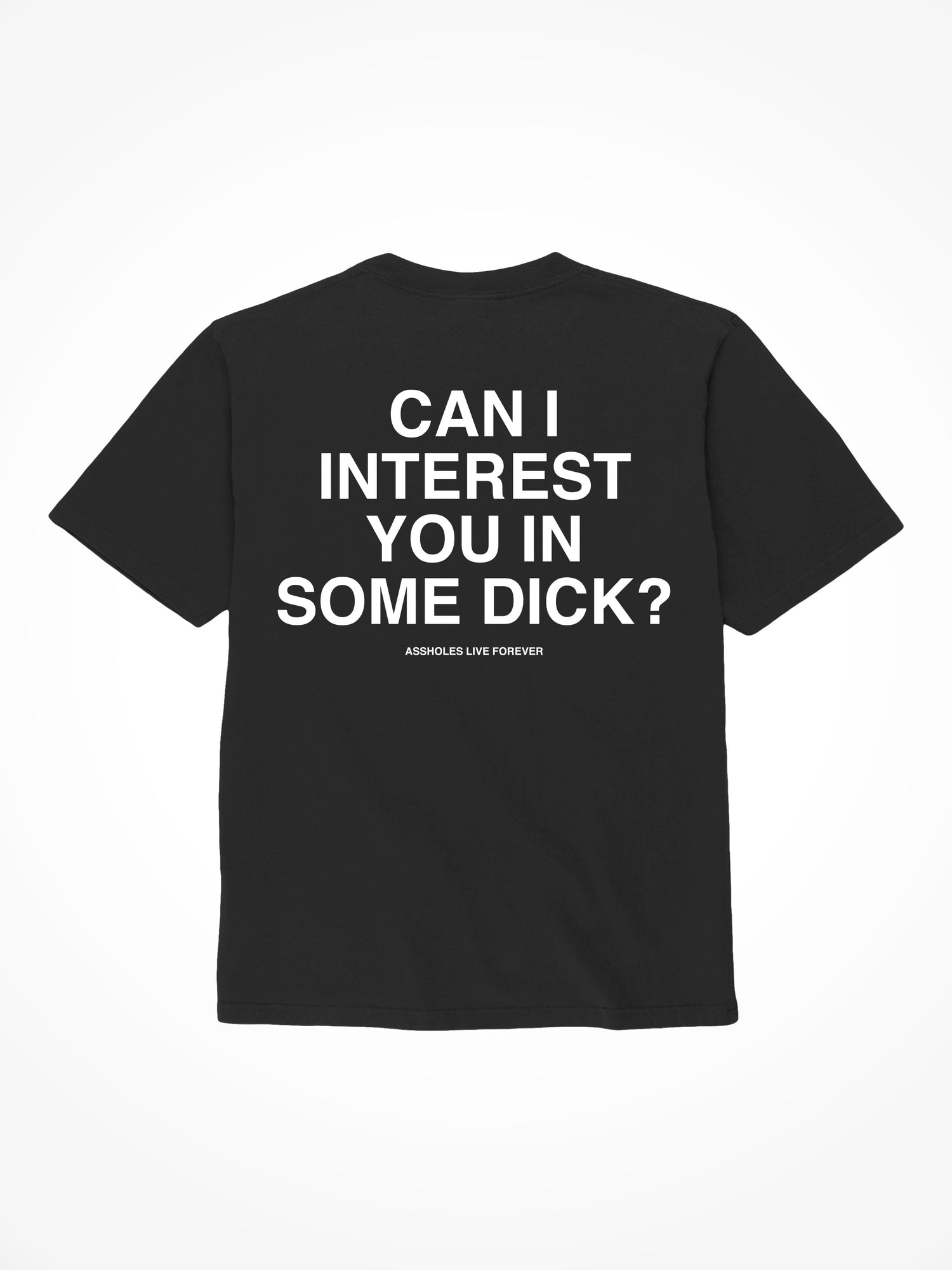 Can I Interest You in Some Dick - Black T-Shirt