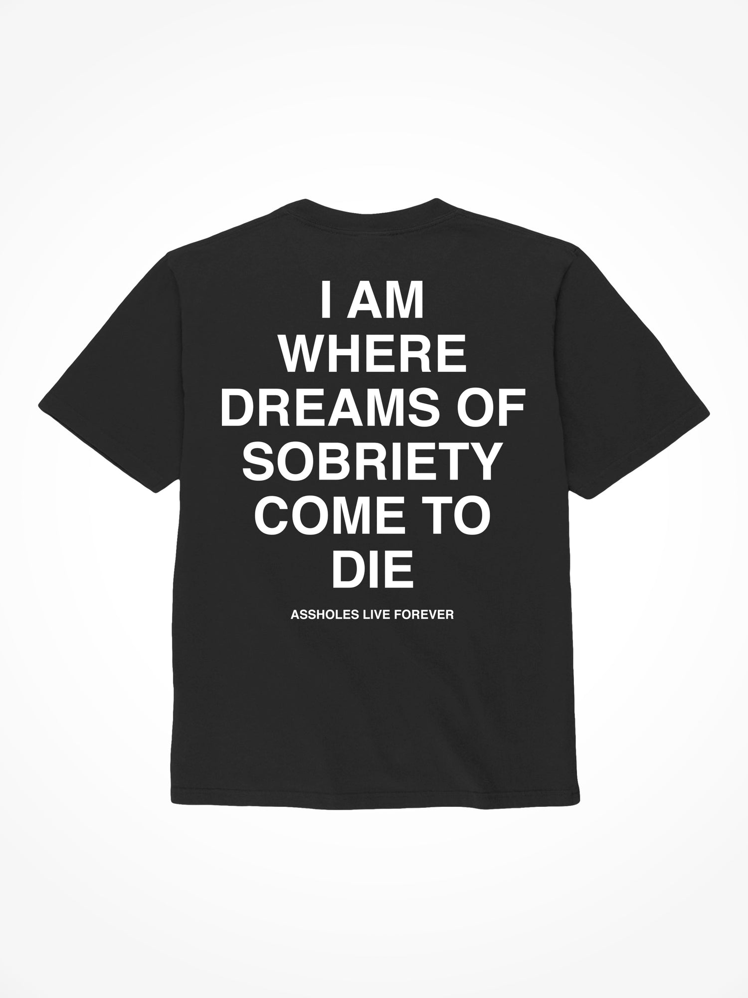 Dreams of Sobriety - Black T-Shirt